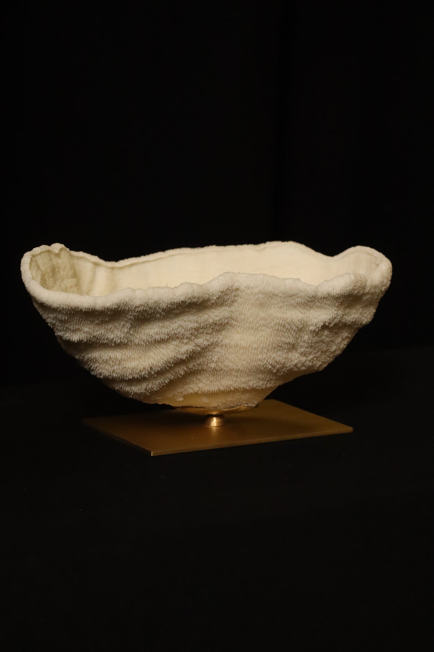 PILEUS